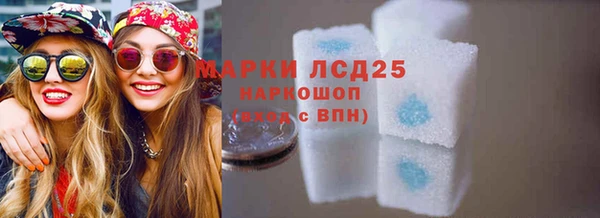 ПСИЛОЦИБИНОВЫЕ ГРИБЫ Переславль-Залесский